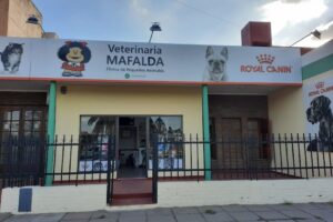 Veterinaria Mafalda
