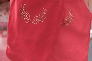 Veterinaria mi mejor amigo