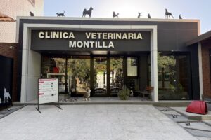 Veterinaria Montilla