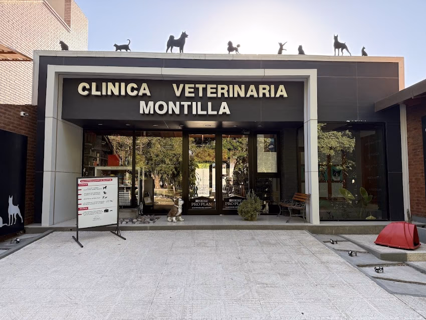 Veterinaria Montilla