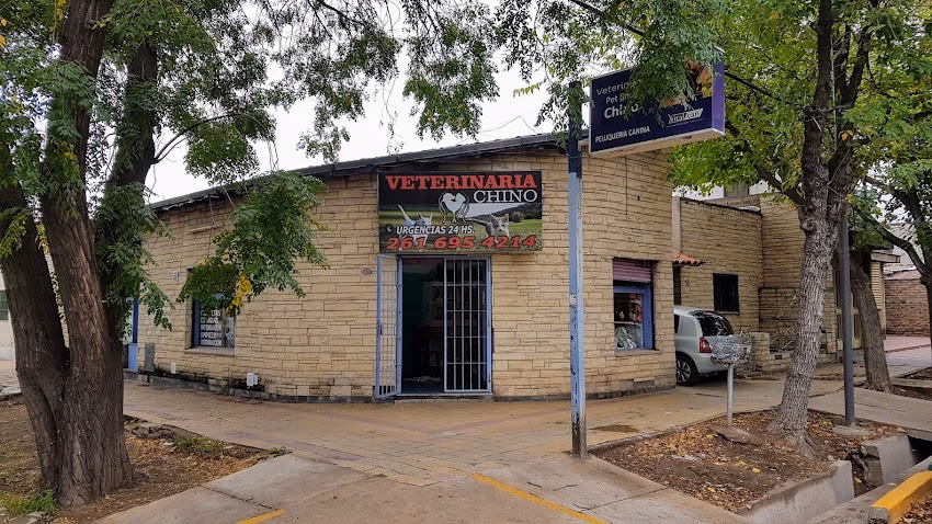 Veterinaria Nueva Ciudad