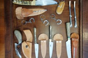 Veterinaria Nuevo Integral Campo