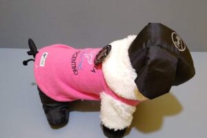 Veterinaria Nuevo Palenque