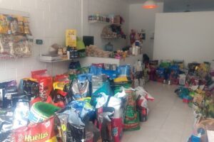 Veterinaria Pet Shop Baño y Peluquería Canina Tus Mascotas Consultas X Whatsapp