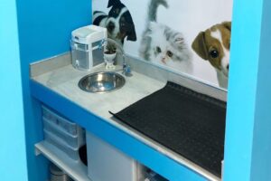 Veterinaria Saint Germain