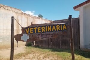 Veterinaria San Nicolás