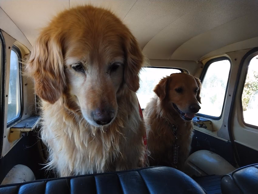 Veterinaria Santa Cruz