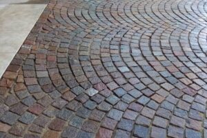 Veterinaria Santa Lucía