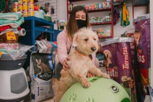 Veterinaria Tienda animal 2