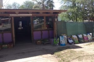 Veterinaria tierra de animales