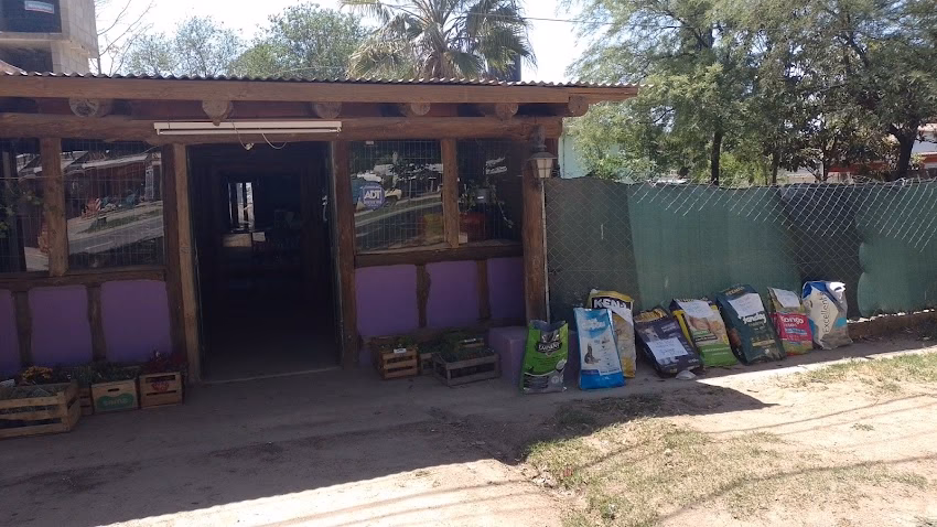 Veterinaria tierra de animales