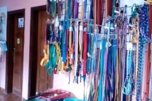 Veterinaria Tierwelt