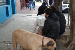 Veterinaria Virreyes