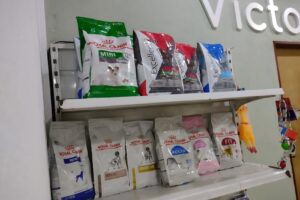 Victorio pet shop