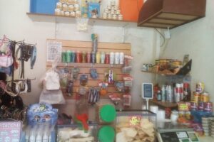 Villa Mascota Pets Shop