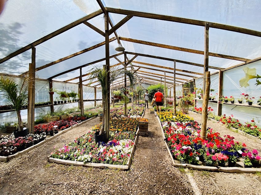 Vivero Las Calandrias