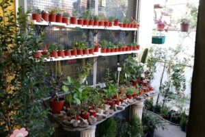 Vivero Mundo Natural