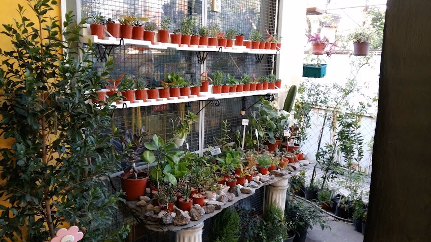 Vivero Mundo Natural