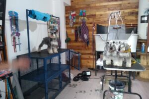 Wau Peluquería Canina