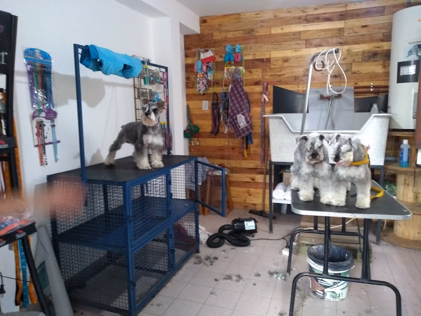 Wau Peluquería Canina