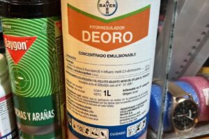 Willy Otto AgroServicios