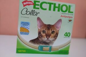 Woro tienda para mascotas