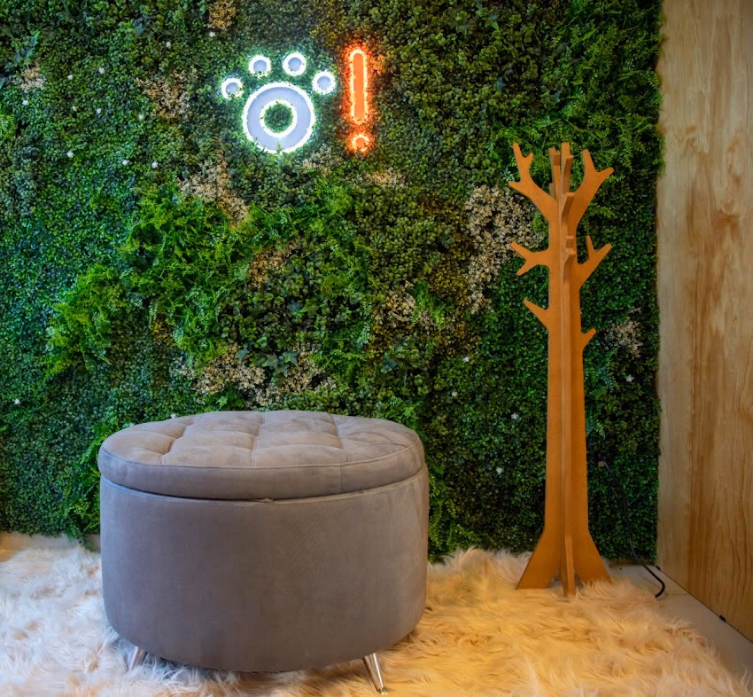 Wow Boutique de Mascotas