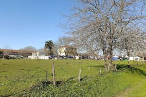 Yastay Deco entre sabores