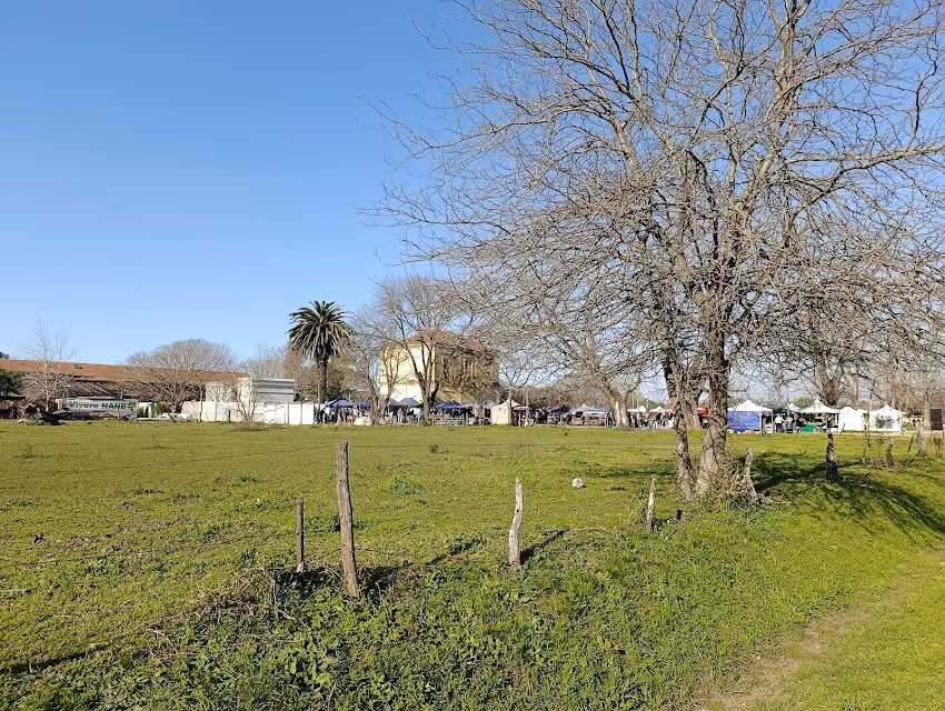 Yastay Deco entre sabores