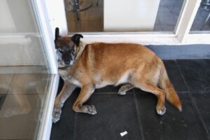 Ypf agro Roza Hnos Sa Balcarce