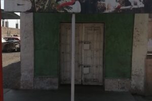 Zoo Mania Pet Shop Tienda De Mascotas